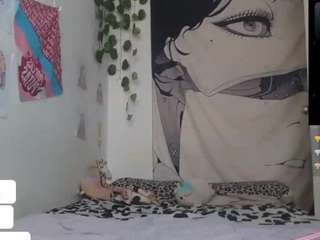charlotbelucci