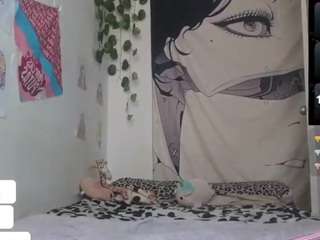 charlotbelucci