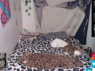 charlotbelucci live webcam show