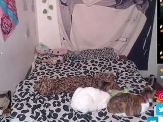 charlotbelucci Sex Cam Show