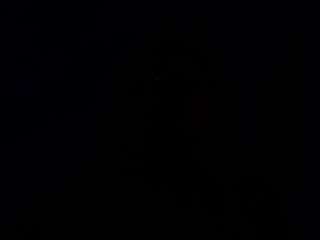 gagprinceess camsoda