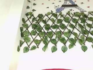 maxlemus