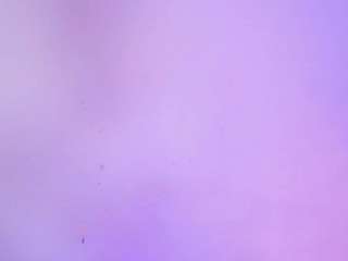 mirandaoconorx