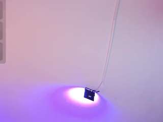 amy-kiitty webcam