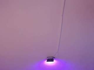  amy-kiitty chat room