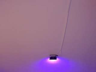 amy-kiitty Live Webcam on CamSoda