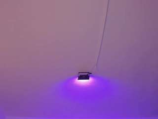 amy-kiitty webcam model