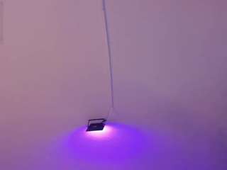 amy-kiitty Live Webcam on CamSoda