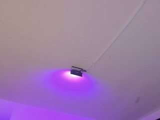 amy-kiitty live cam profile