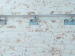 pamela-west webcam