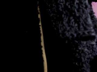 mariapaulac Live Webcam on CamSoda