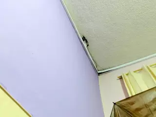 Mariapaulareal's Live Sex Cam Show