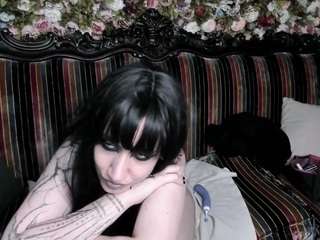 Medusa Gorgona live cam preview