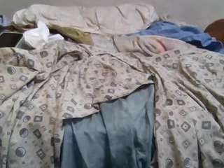 hoggbody webcam model