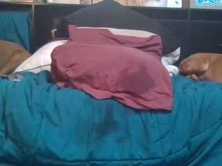 hoggbody live webcam show