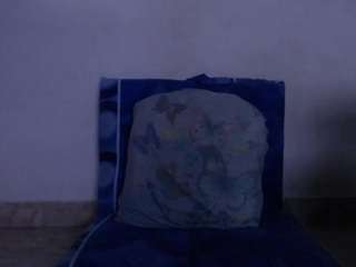 lilythbrown69