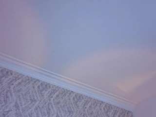 mia-oceann webcam