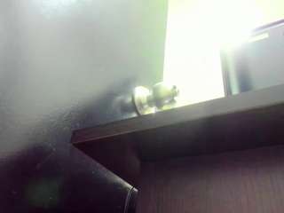  dania-miller chat room