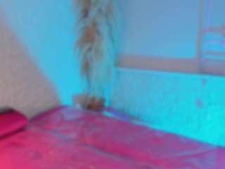 articabelle webcam model