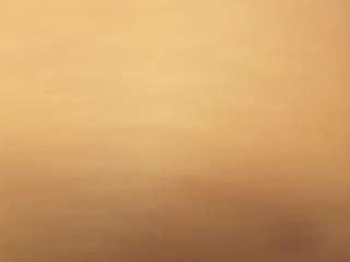 kari-curves from camsoda