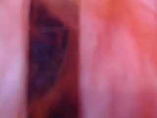 Midnightrose11's Live Sex Cam Show
