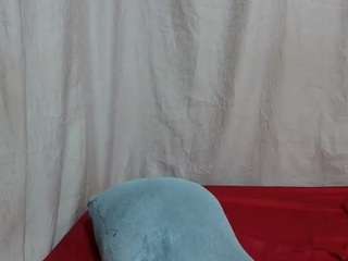 sweet-bunny12 Live Webcam on CamSoda