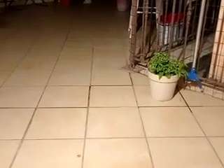 sharon699