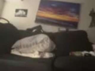 drewb231456789upshot