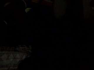 drewb231456789upshot webcam