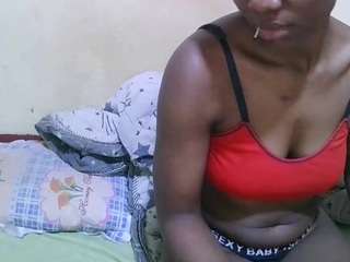 theshe webcam