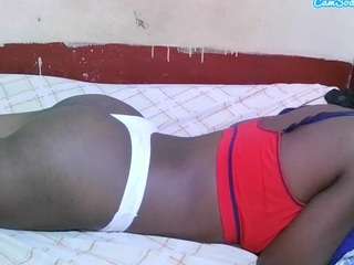 theshe webcam