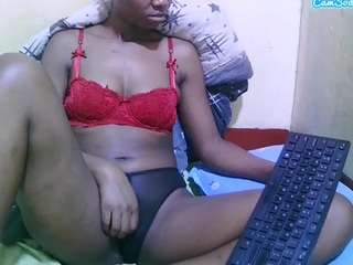 theshe webcam