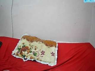 theshe's CamSoda show and profile