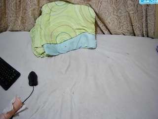 theshe webcam