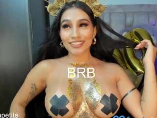 valery-dupont Toy live webcam