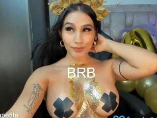 valery-dupont webcam