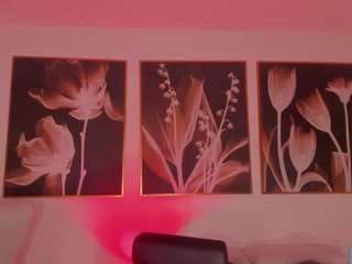 carlasmithx webcam