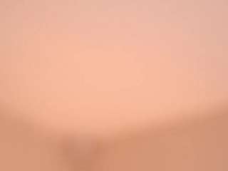 theafollin webcam