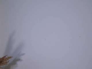 theafollin