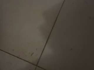zarazoe webcam
