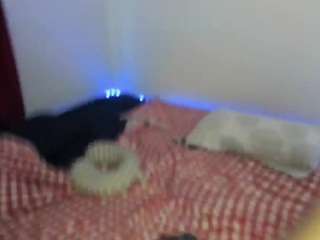 veda-flor webcam