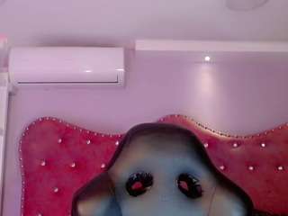 hallyyhott webcam