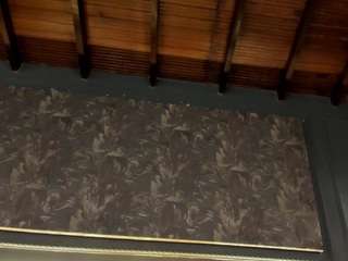 ivyellis webcam model