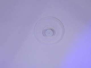  scarlett-vegga chat room