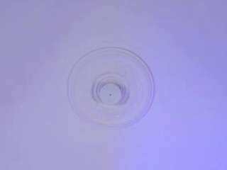  scarlett-vegga chat room