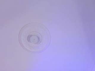  scarlett-vegga chat room