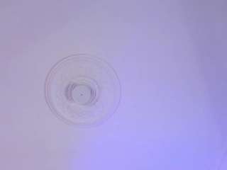  scarlett-vegga chat room