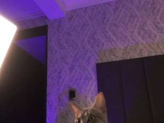 scarlett-vegga