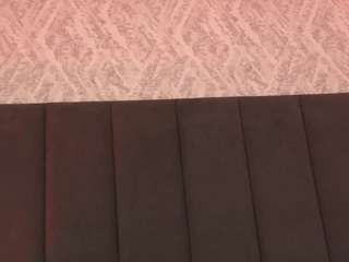 Scarlett-Vegga