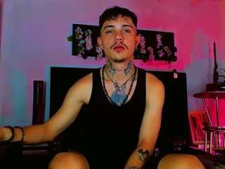 hannilest webcam